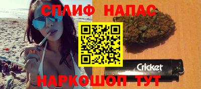 apvp Коммунар