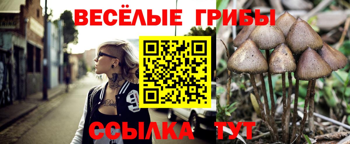 Ульяновск  Псилоцибиновые грибы прущие грибы  Вход с VPN 